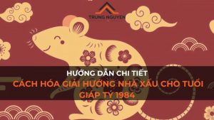 Hướng Dẫn Chi Tiết: Cách Hóa Giải Hướng Nhà Xấu Cho Tuổi Giáp Tý 1984
