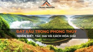 Đất Xấu Trong Phong Thủy: Nhận Biết, Tác Hại và Cách Hóa Giải