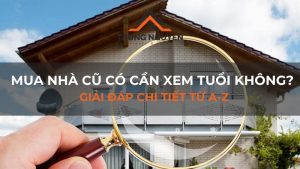 Mua nhà cũ có cần xem tuổi không? Giải đáp chi tiết từ A-Z