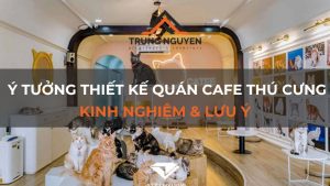 Ý tưởng thiết kế quán cafe thú cưng: Kinh nghiệm & Lưu ý