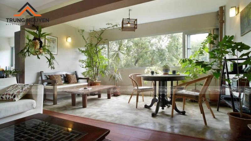 Thiết kế Japandi ưu tiên cây cảnh có hình dáng tinh gọn, hài hòa