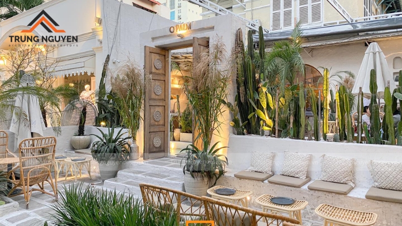 Những chậu cây olive, giàn hoa giấy, cây xương rồng